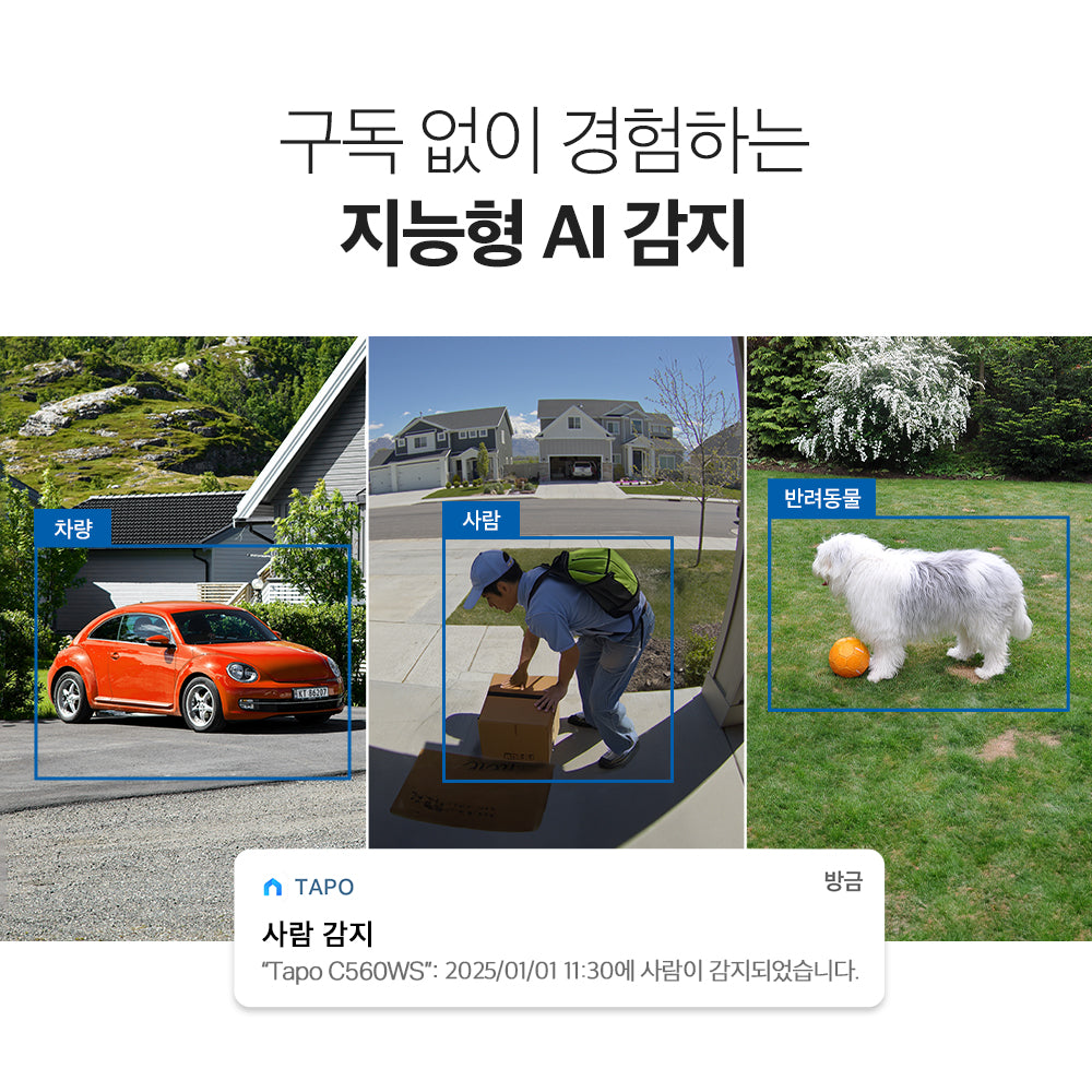 Tapo C560WS 실외용 회전형 보안 Wi-Fi 카메라